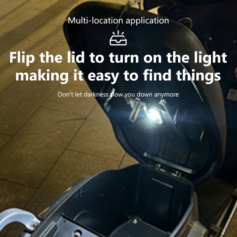 BLALION Motorcycle Locomotive  - Smart Led Garden review and price