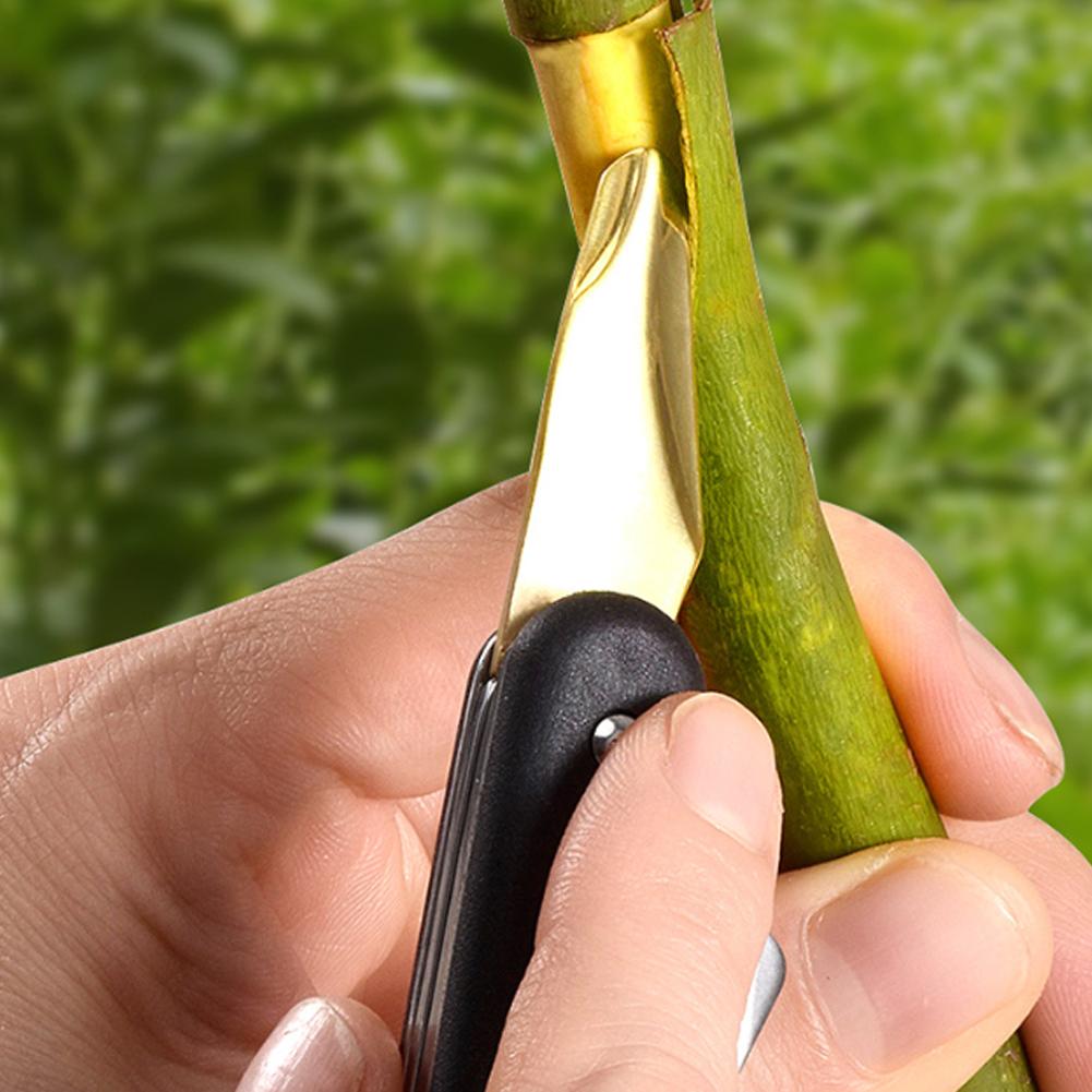 Fruit And Vegetable Grafting M - Smart Garden Edging review and price