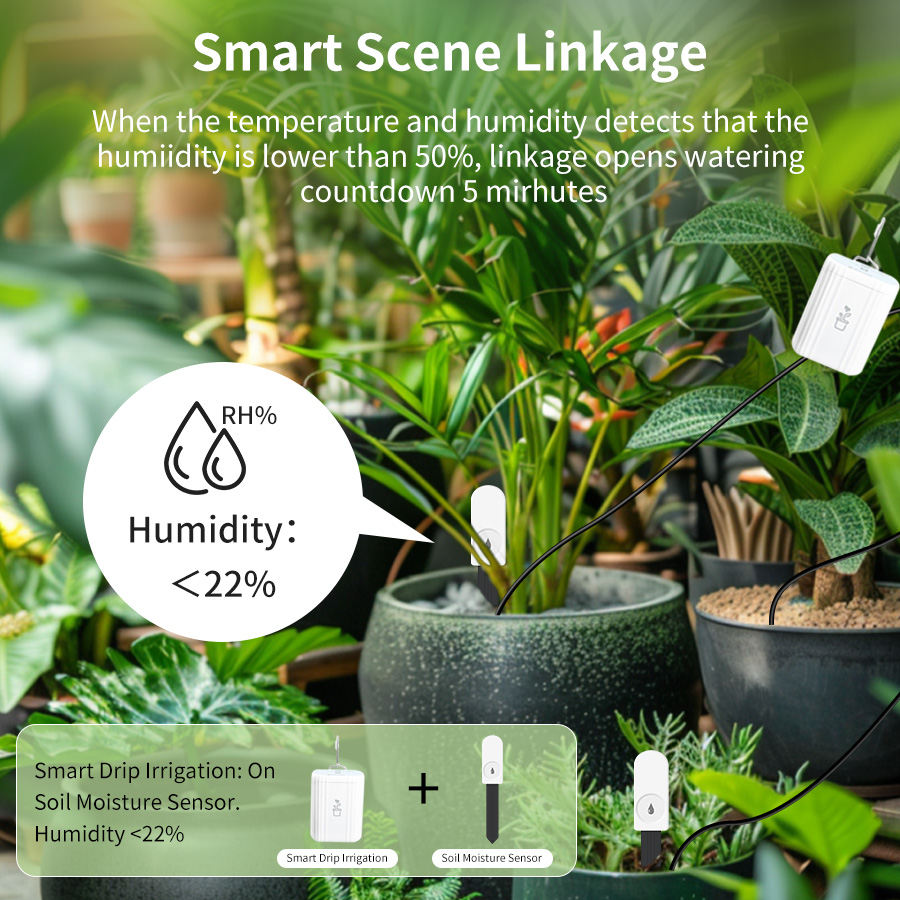 Smart Zigbee 3.0 Soil Tester H - Smart Garden Moisture Sensor review and price