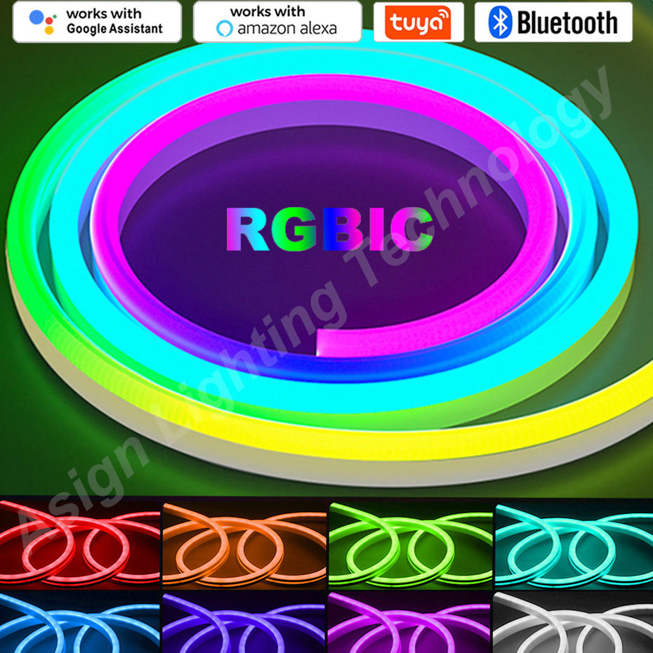 RGBIC LED Neon Strip 12V 96LED - Smart Led Garden review and price